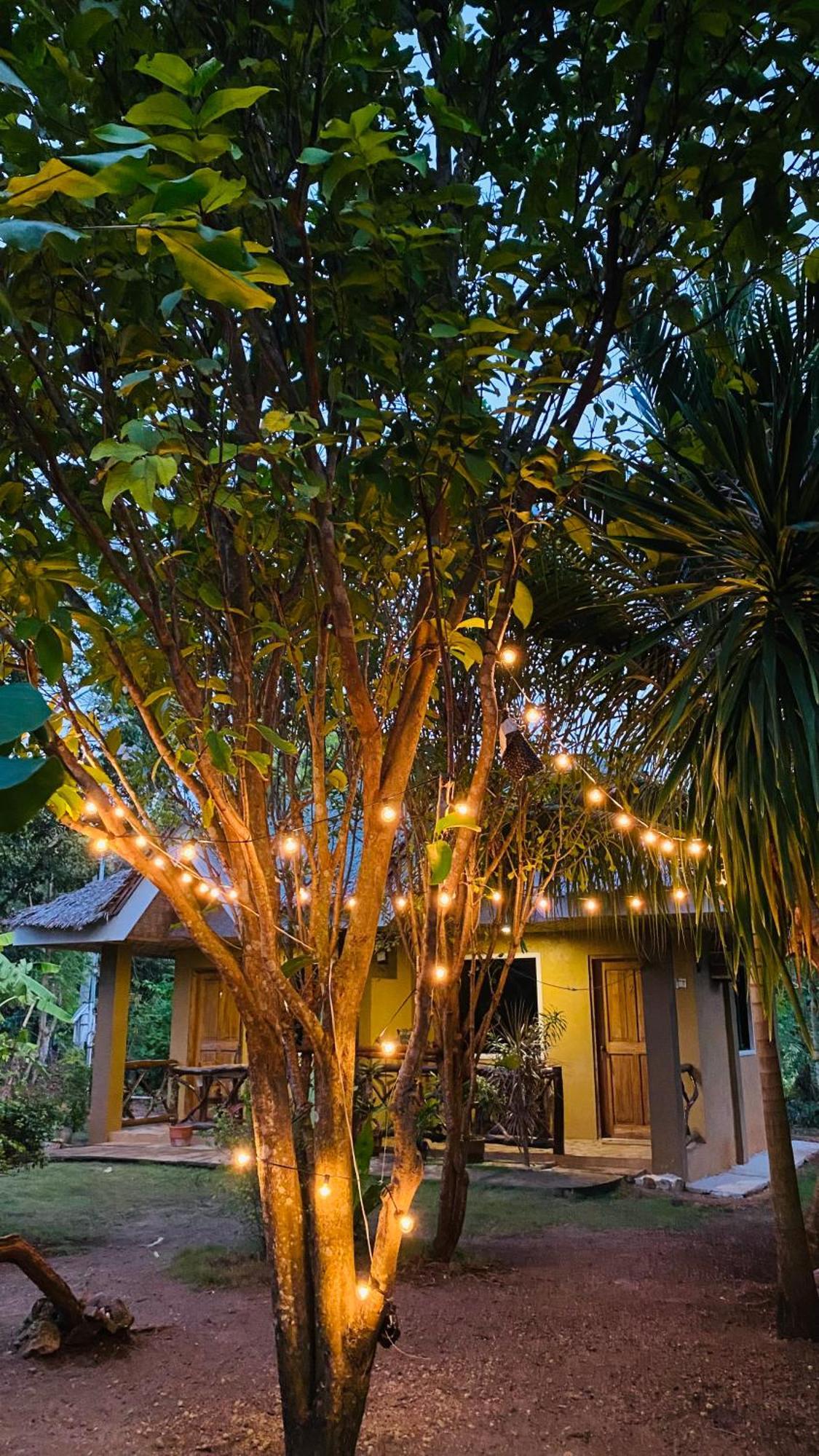 Miki'S Guest House ซีคีฮอร์ ภายนอก รูปภาพ