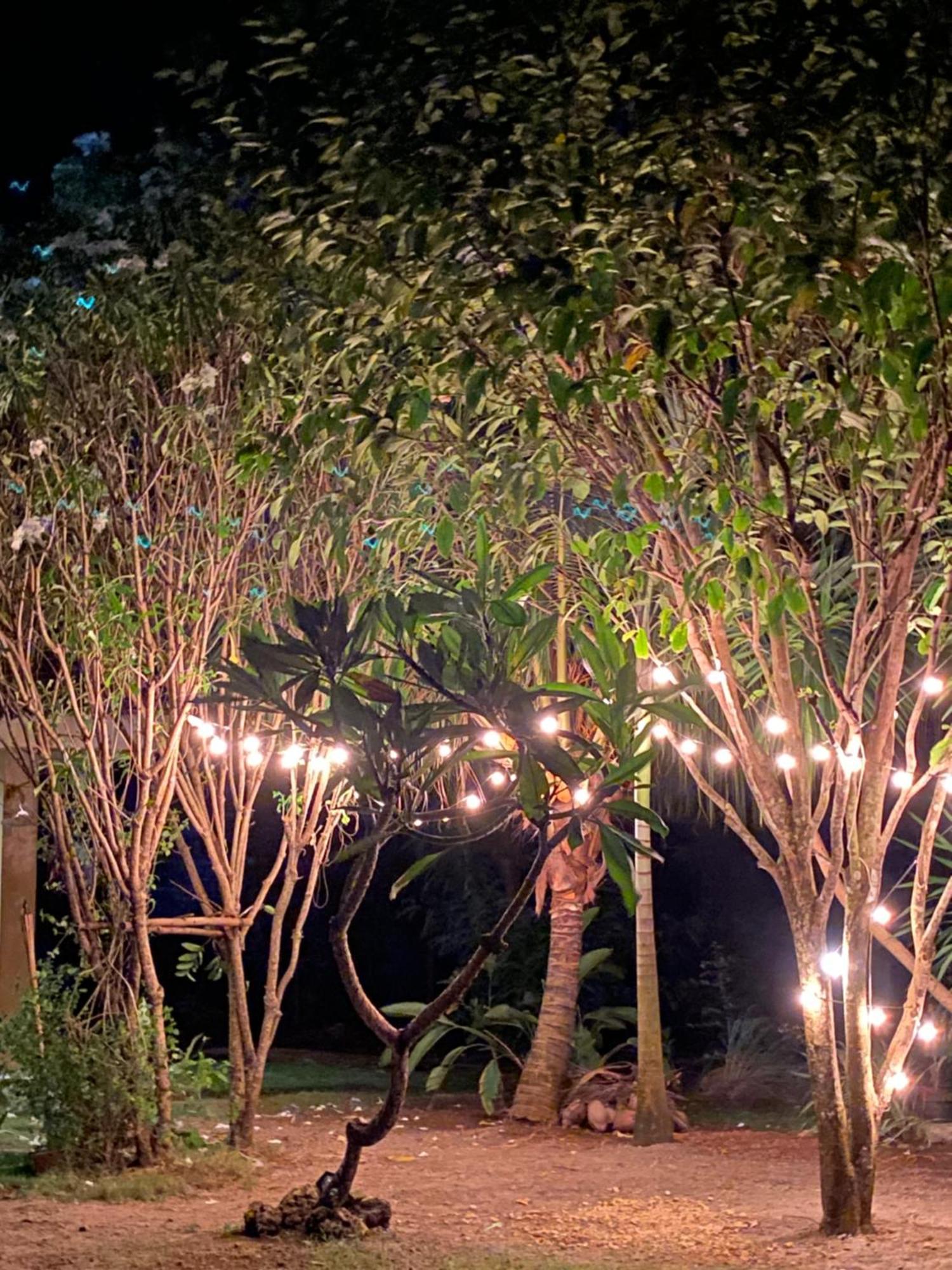 Miki'S Guest House ซีคีฮอร์ ภายนอก รูปภาพ
