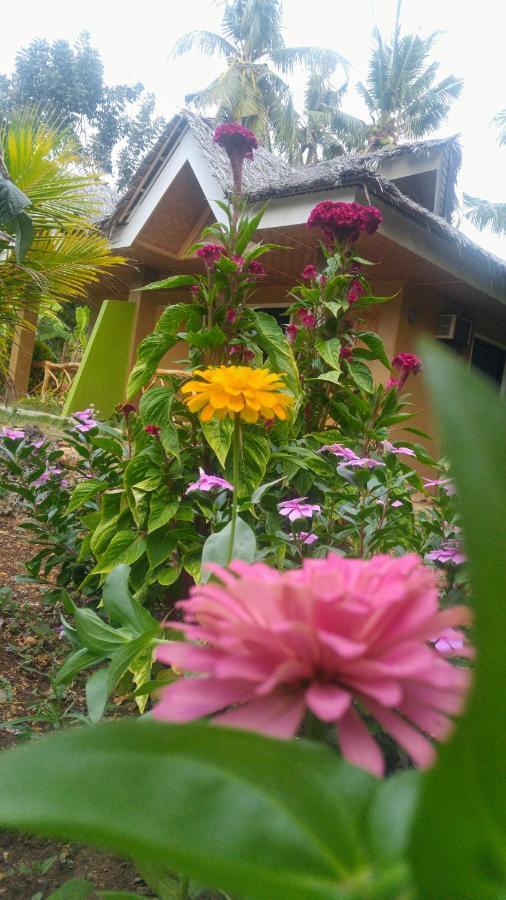Miki'S Guest House ซีคีฮอร์ ภายนอก รูปภาพ