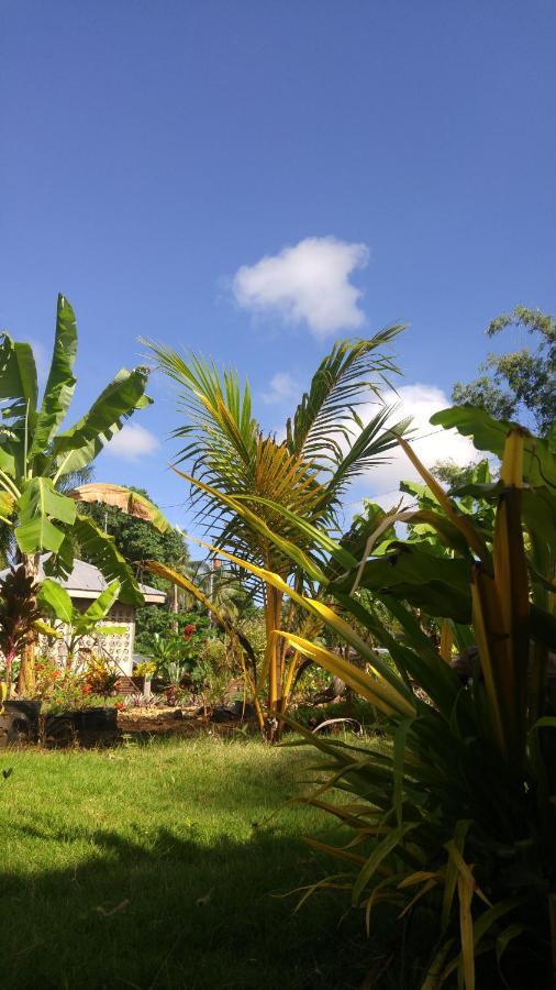 Miki'S Guest House ซีคีฮอร์ ภายนอก รูปภาพ